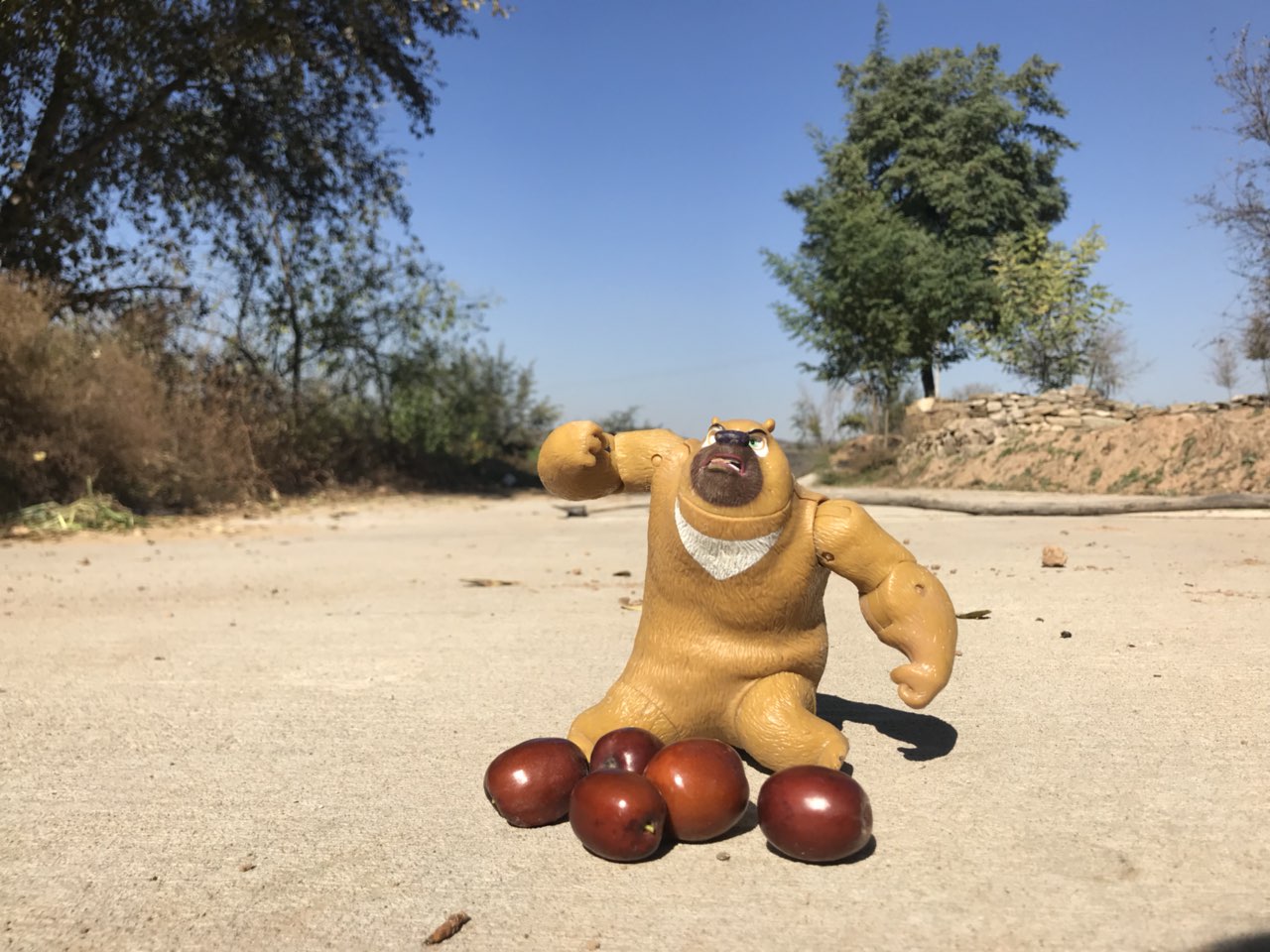 图片