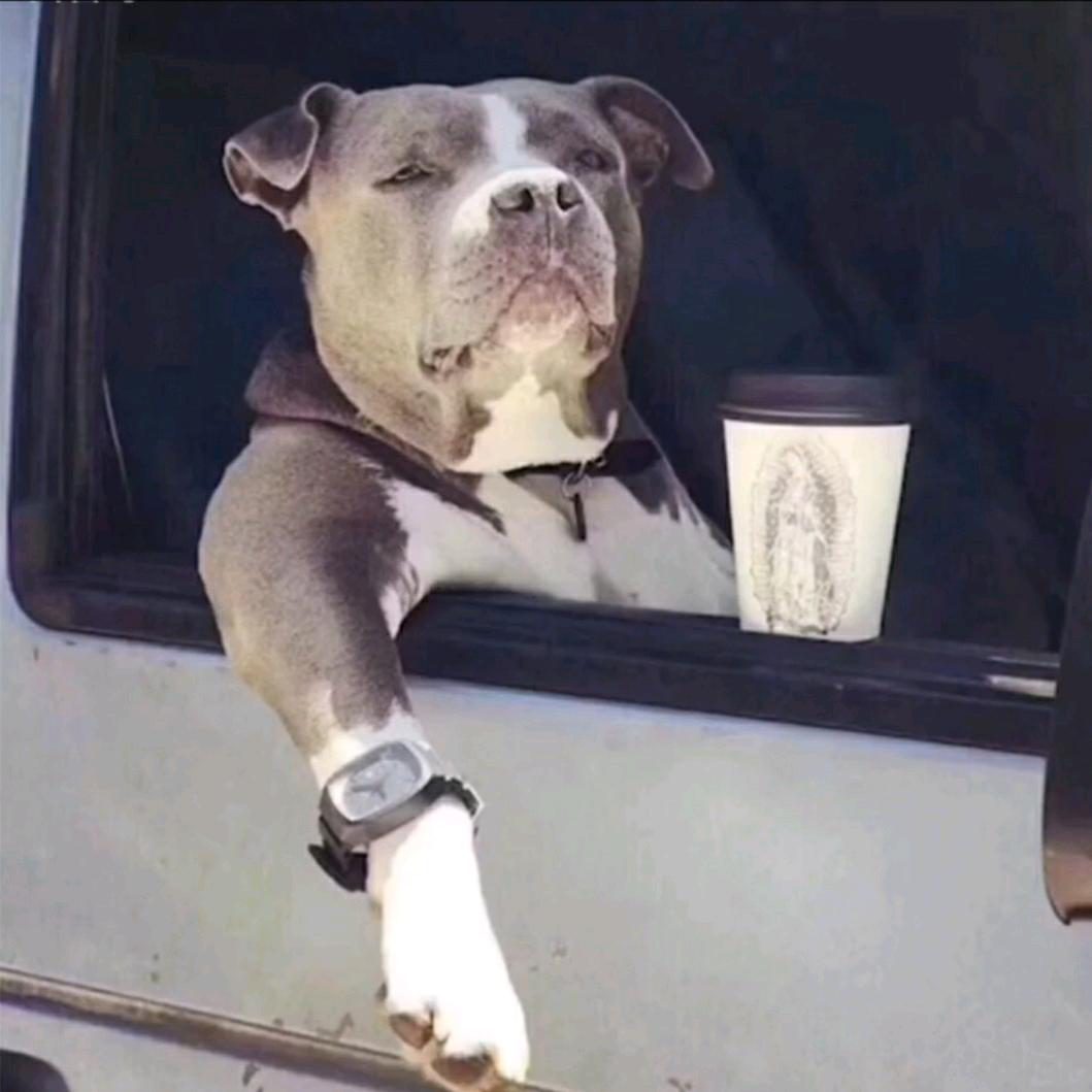 找对象90单身汪有车有房有工作性格开朗